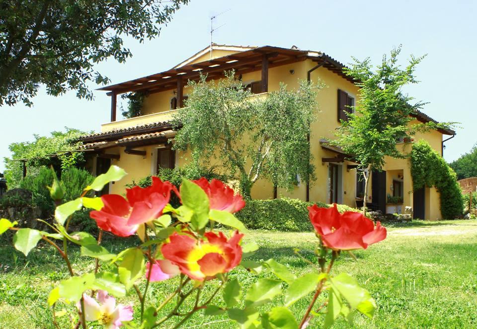 马萨马尔塔纳La Casa Di Gelsomino别墅 外观 照片